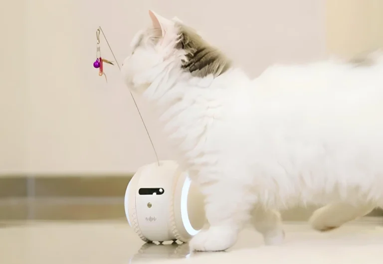 interactive pet camera for cats