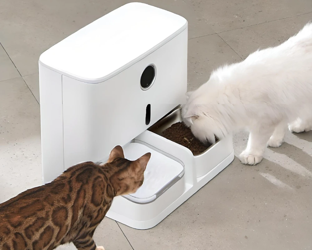 best cat feeder with camera